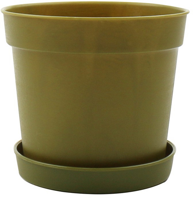 갑조네 담따화분, 카키, 1개