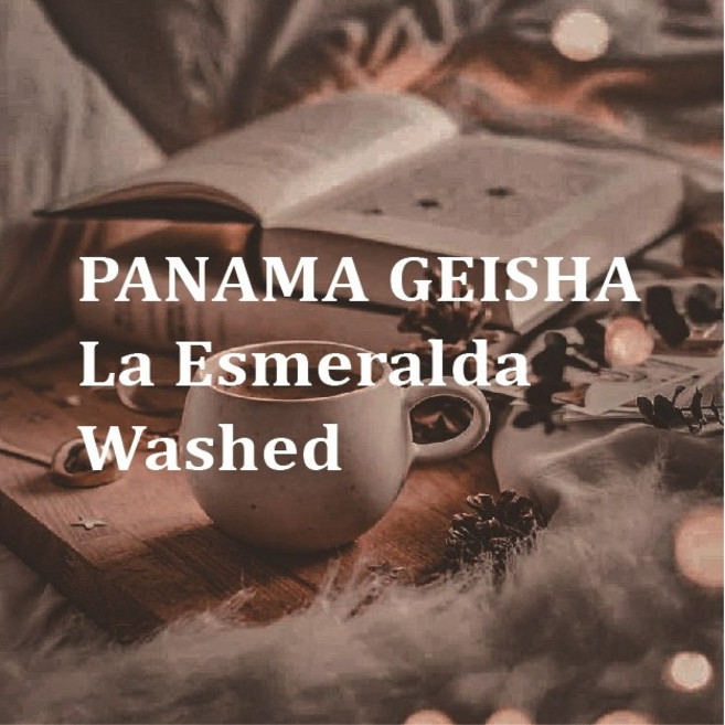 [300g] 파나마 게이샤 라 에스메랄라 (와시드) _ 아띠제노스랩 스페셜티커피, 분쇄, 1개, 300g