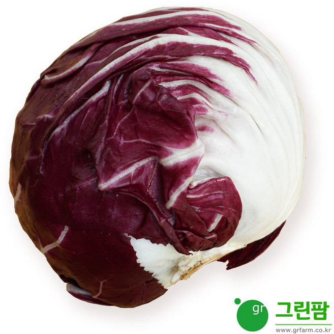 라디치오 1통(약 400g) 국산, 1개, 350g