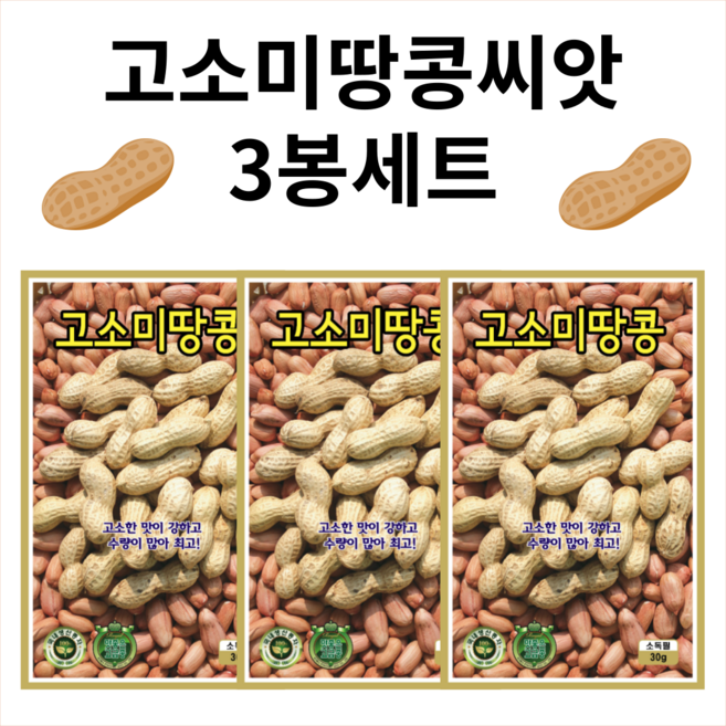 [주주씨앗] 고소미 땅콩씨앗 30g 3봉세트 KS종묘 땅콩종자 씨, 3개