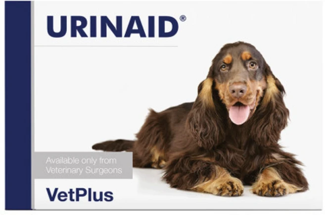 벳플러스 유리네이드 60정 URINAID 반려동물 비뇨기계 영양제, 1개 - 쿠팡
