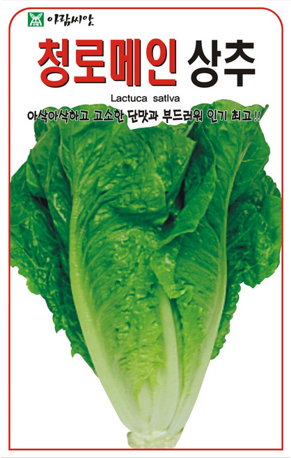 아람종묘 청로메인상추 씨앗, 2개