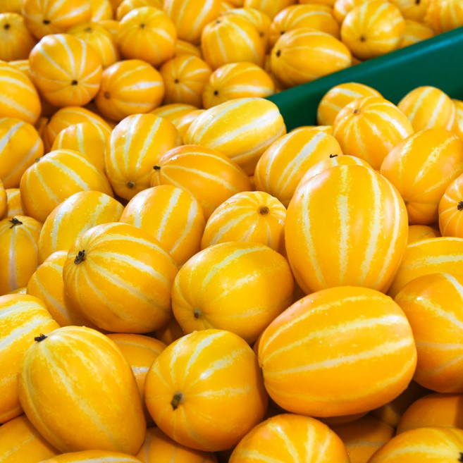 프리미엄 성주 꿀 참외 가정용 못난이 제철과일, 1박스, 3kg(소)