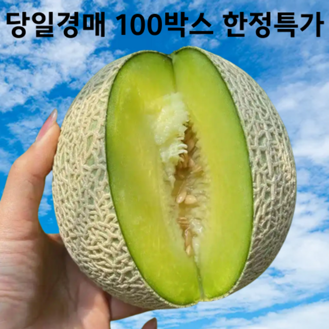 [백화점납품] 100박스한정 고당도 머스크 멜론, 1개, 2kg이내(1수)