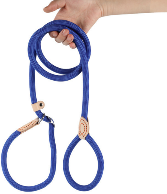 탈출방지 훈련 및 산책용 강아지 목줄 로프 리드줄, 1개, 14. 블루 M(T914)