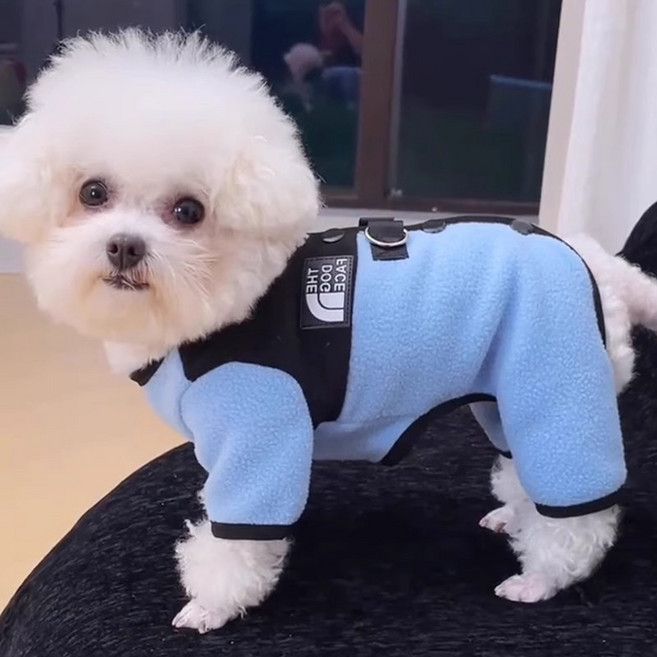 강아지 겨울 웰론 멋진 점프슈트, 1개, 블루