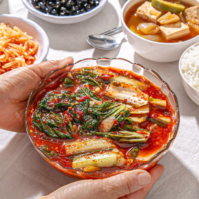 제철밥상 시원하고 매콤칼칼한 얼갈이자박이 5kg 수확 전라도식 여름별미 물김치 비빔밥, 1개