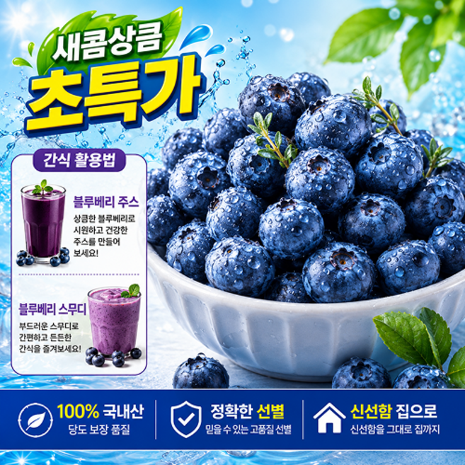 [초초초특가] 국내산 새콤달콤 당도선별 블루베리, 1박스, 100g