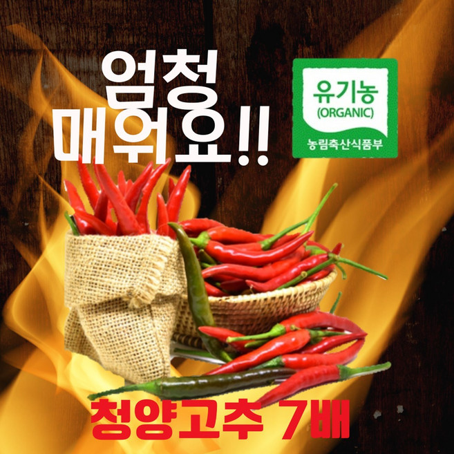 엔젤농장 유기농 국산 인도고추 프릭키누, 건조 인도고추 100g, 1개, 100g