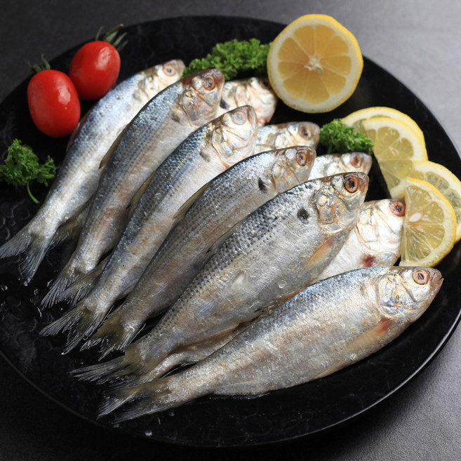 고소한 제철 전어 1kg 12-20미내외 전어구이용 남해안산, 1개, 전어 500g x 2팩