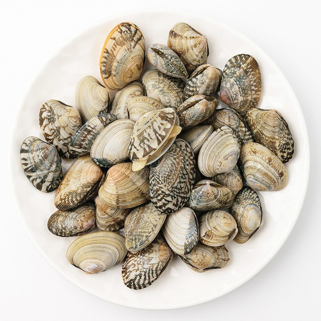 싱싱한 활바지락 신선포장 생바지락 바지락술찜 생물 바지락, 1세트, 500g