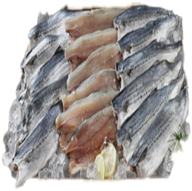 [MJ-FOOD] 남해안 손질 등푸른 팔뚝삼치, 20개, 80g
