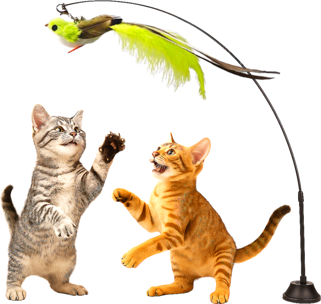 스마일플로우 진짜같은 긴꼬리새 낚시대 풀세트 고양이 최애 튼튼 고정 장난감, 1세트, 연두꼬리 새