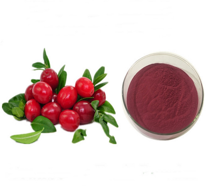 크랜베리농축분말 1kg, 1개