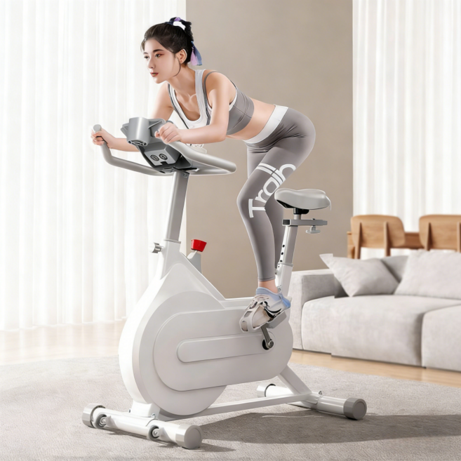 가정용 실내 자전거 유산소 운동기구 나혼자산다 나혼산 무소음 마그네틱 헬스사이클, 화이트, QMA66