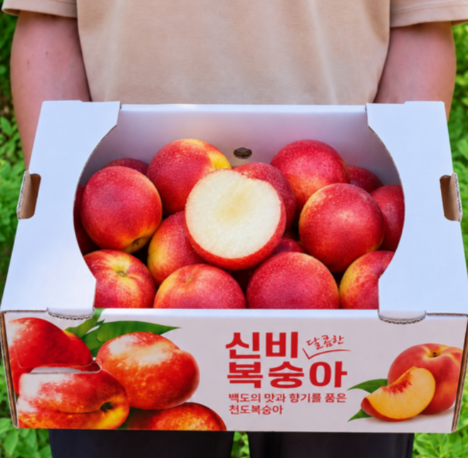 2위 - [선착순특가] 매년 완판신화 신비복숭아, 1개, 2kg(중과)
