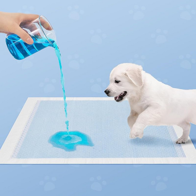 DCT koiows 펫 시트 초박형 펫 시트 슈퍼 와이드 60X90cm 블루 25매입 무향료 초흡수 항균 탈취 소형견 중형견