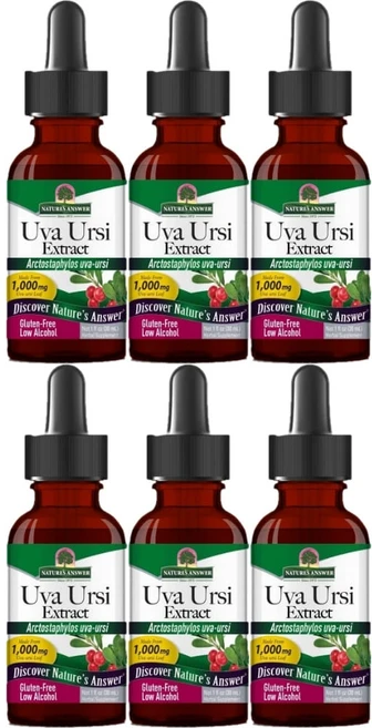 네이처스앤서 고흡수 우바 우르시 추출물 1000mg 액상 액체, 6개, 30ml - 쿠팡