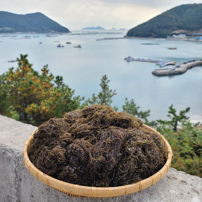 완도 산지직송 영양만점 염장 꼬시래기, 1박스, 5kg