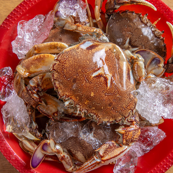 제철밥상 [꽉찬 게살] 고소한 서해 황게, 1개, 서해 황게 1kg(5-8미/암수혼합)