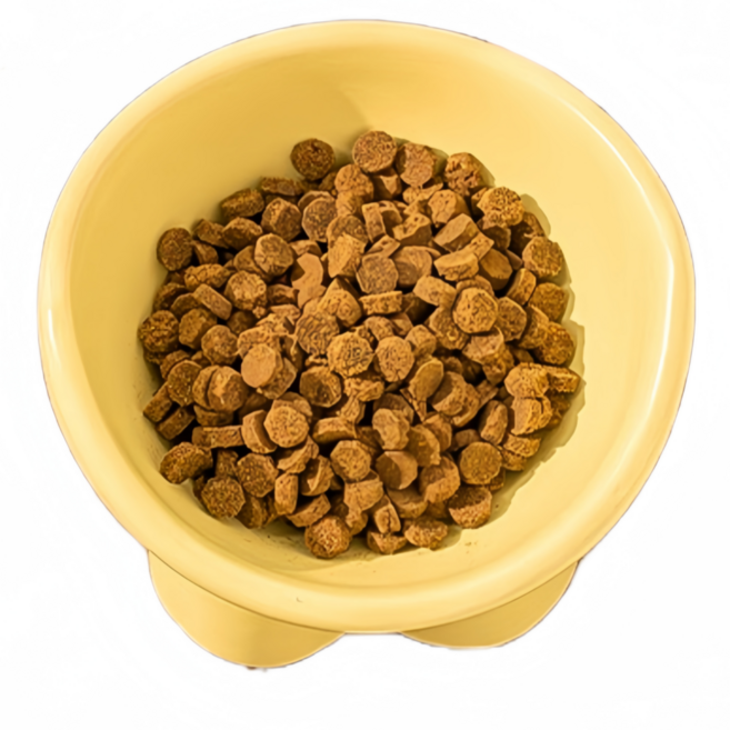 창의성 도자기 고양이 밥그릇 물그릇 애견식기 고양이그릇 반려동물용품, 오렌지색, 1개