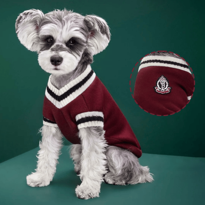 강아지 옷 스웨터 가을 겨울 소형견 테디 비숑 셰나리 겨울 가을 펫 아카데미 스타일 조끼, 1개, Red