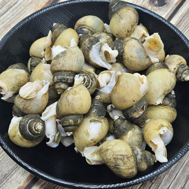국내산 급냉 골뱅이 흑고동 1kg(35~50미), 1개, 1kg