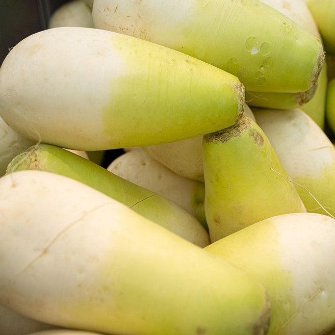 제주도 달큰한 세척 월동무 겨울무 김장무 동치미무 깍두기 무생채 섞박지 무우, 1박스, 제주도 월동무 7kg내외