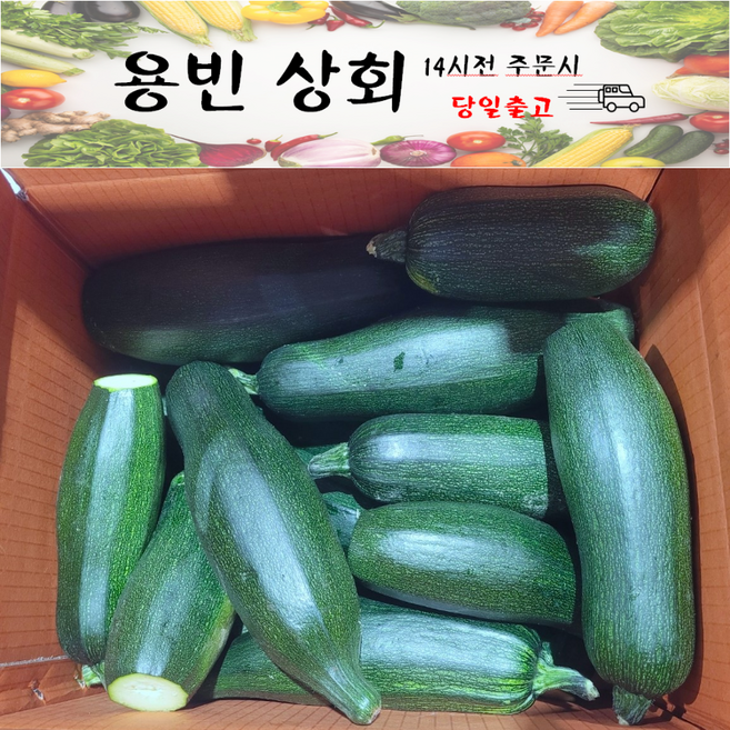 ( 용빈 상회) 국내산 쥬키니호박 주키니호박 돼지호박 못난이호박 업소용 C품 5kg내외 10kg내외, 1개, 10kg