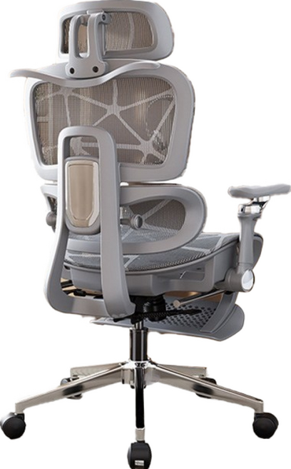 Xpanse 人體工學椅零重力7D LS900 五年保固 電腦電競椅辦公椅, L900Pro-龍紋特網+坐移+椅背可調