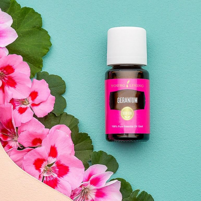 영리빙 제라늄 에센셜 오일 15ml, 1개