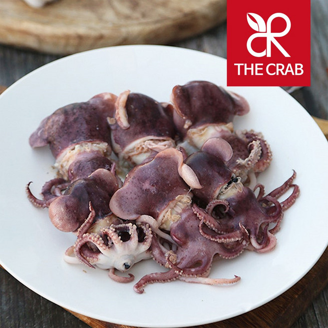 제철 동해안 활 귀오징어, 1박스, 생물 귀오징어 1kg (13-15미)