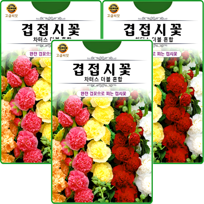 KS종묘 겹접시꽃 30립 차터스 더블 혼합 접시꽃 고급 꽃씨 씨앗 종자, 3개