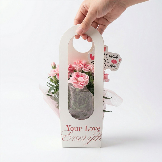 [당일배송] 생화 꽃 카네이션 선물 가정의달 꽃배달 그래꽃이다, 1개, 플러스(랜덤)