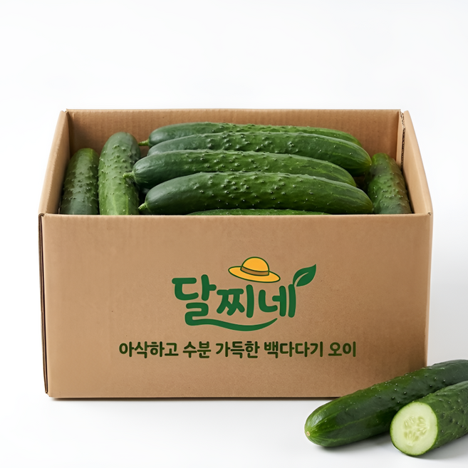 [타임특가] 오씨농장 특상품 백다다기 백 오이, 1개, 4kg