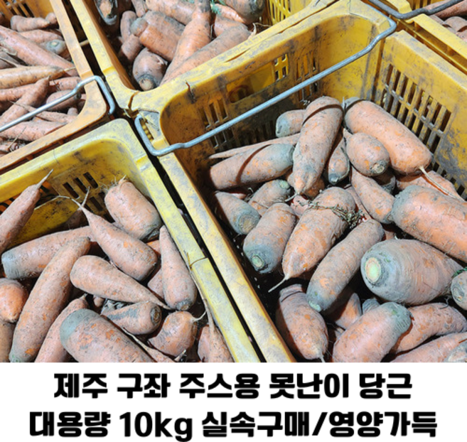 제주 구좌당근 주스용 못난이 당근 10kg 대용량/ 유기농 친환경 당도높고 맛있는 제주 당근 업소용, 1개
