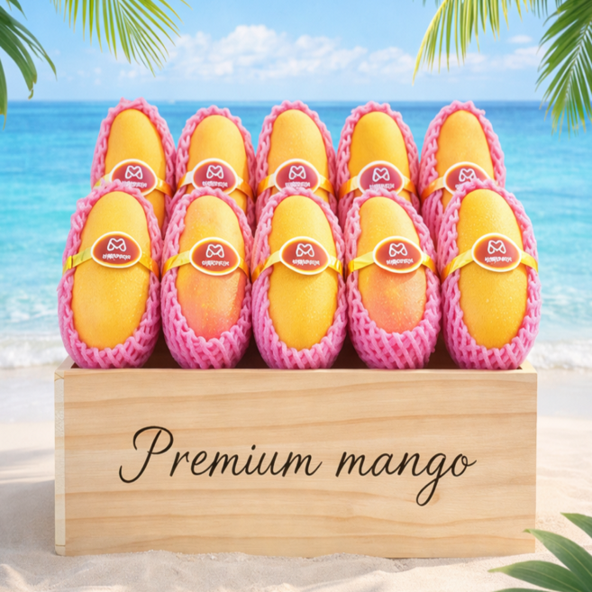 [백화점납품용] 최고급 프리미엄 무지개망고 태국 마하차녹 초고당도 20brix 당도선별 항공직송, 1박스, 2kg (특대과/4수) 1인 가구/ 맛보기용