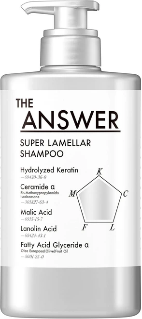 THE ANSWER 디앤서 슈퍼 라멜라 샴푸 400ml 일본 헤어, 1개 - 쿠팡