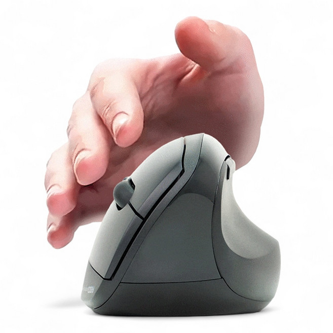 Cosy 인체공학 손목보호 버티컬 무소음 무선 마우스 노트북 컴퓨터 사무용 스터디 카페 도서관 추천