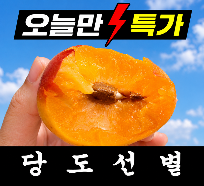 [24시간초특가] 딱100박스만 고당도 노지 살구, 1박스, 2kg(중대과)