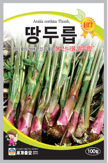 땅두릅 씨앗 100립 GR1, 2개