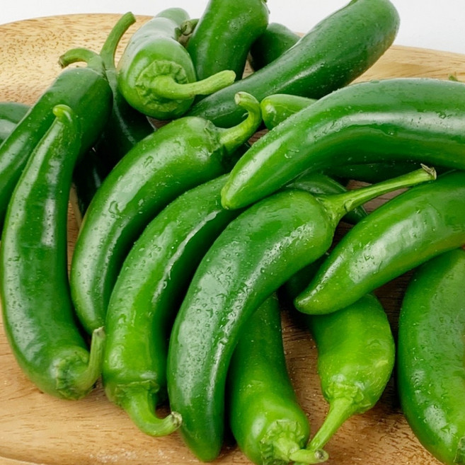 아삭한 모닝고추 고추 오이맛고추, 1박스, 1kg