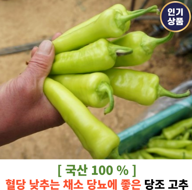 [ 국산100% ] 혈당지킴이 아삭아삭 혈당 낮추는 채소 당뇨에 좋은 당조 고추 kg 당뇨 혈당 관리 다이어트 제철 채소 야채, 300g, 1개
