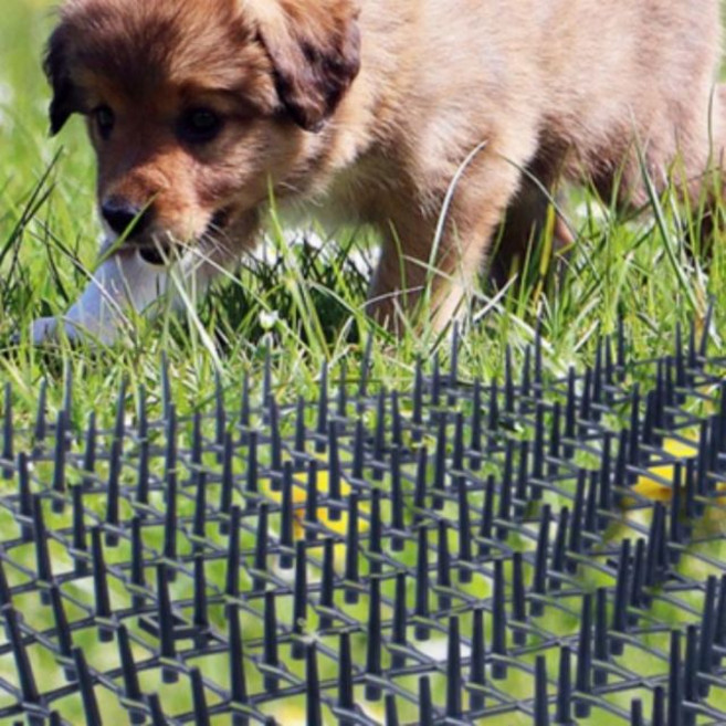 접근방지 매트 패드 고양이 퇴치 조류 강아지, 화이트-400cm, 화이트-400cm