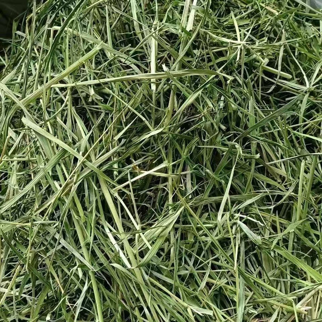 萌寵牧草 混合草粉1kg, 1個, 燕麥草1kg 過篩, 1kg