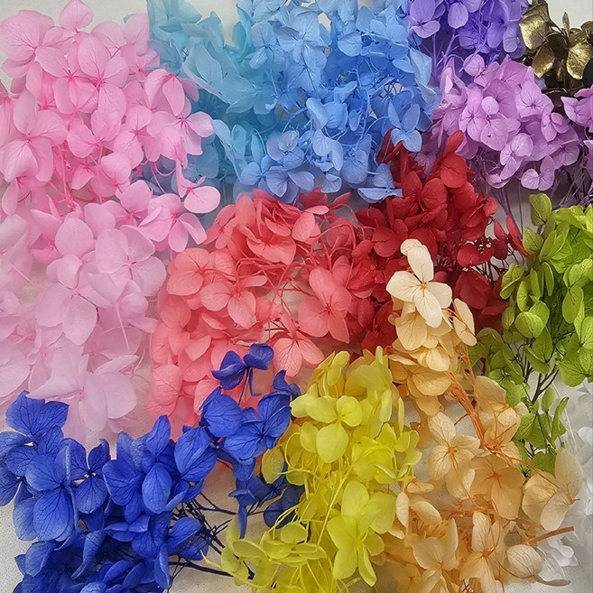 드라이플라워 프리저브드 중국 수국, 1. 빨강