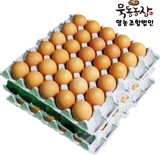 난각번호3번 오늘낳은 무항생제 HACCP 특란 90구 무정란 생 계란 (30구x3판), 30구, 3개