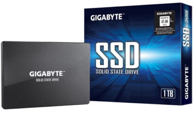 기가바이트 SSD, 1TB, GP-GSTFS31100TNTD