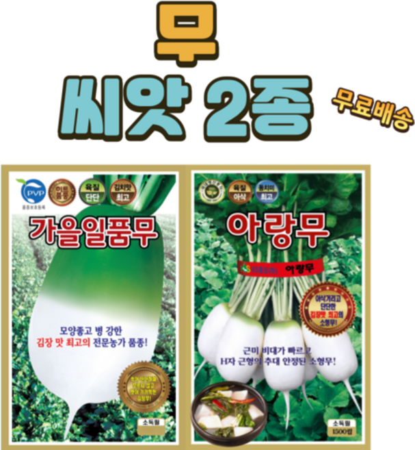 무 씨앗 2종 일품 아랑무, 1세트