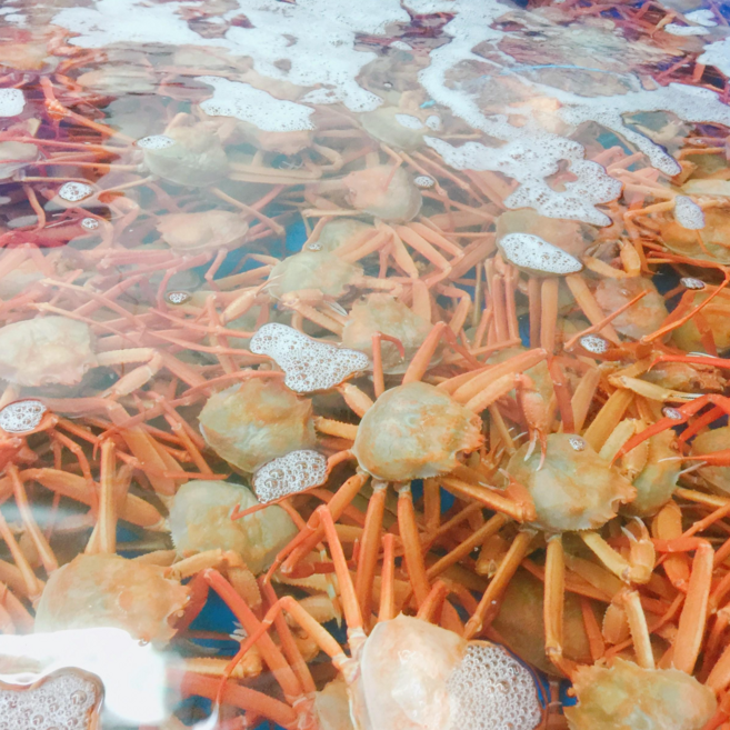 [산지직송] 속초 홍게 A급 정품 가성비 일반형 제철 자숙, 1개, [가성비] 일반형홍게 3kg